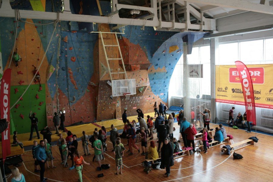 elkor kids 2018 7